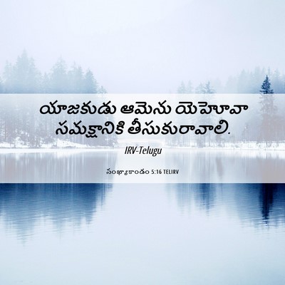 Picture 06 - సంఖ్యాకాండం 5:16 TELIRV - యాజకుడు ఆమెను - Bible Verse Picture