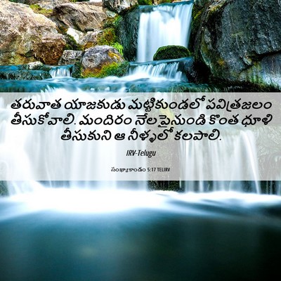 Picture 06 - సంఖ్యాకాండం 5:17 TELIRV - తరువాత యాజకుడు - Bible Verse Picture