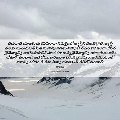 Picture 06 - సంఖ్యాకాండం 5:18 TELIRV - తరువాత యాజకుడు - Bible Verse Picture
