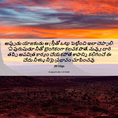 Picture 06 - సంఖ్యాకాండం 5:19 TELIRV - అప్పుడు యాజకుడు ఆ - Bible Verse Picture
