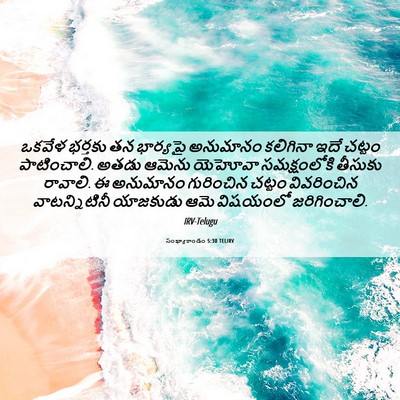 Picture 06 - సంఖ్యాకాండం 5:30 TELIRV - ఒకవేళ భర్తకు తన - Bible Verse Picture
