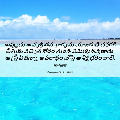 Picture 06 - సంఖ్యాకాండం 5:31 TELIRV - అప్పుడు ఆ వ్యక్తి - Bible Verse Picture