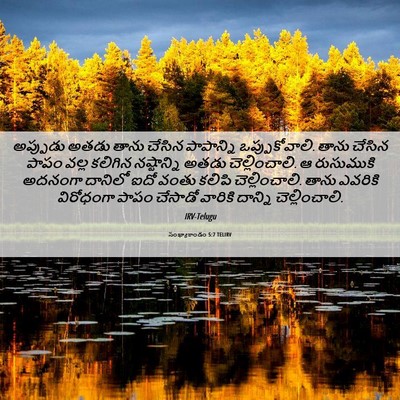 Picture 06 - సంఖ్యాకాండం 5:7 TELIRV - అప్పుడు అతడు తాను - Bible Verse Picture