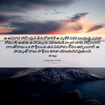 Picture 06 - సంఖ్యాకాండం 5:8 TELIRV - ఆ అపరాధ - Bible Verse Picture