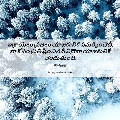Picture 06 - సంఖ్యాకాండం 5:9 TELIRV - ఇశ్రాయేలు ప్రజలు - Bible Verse Picture