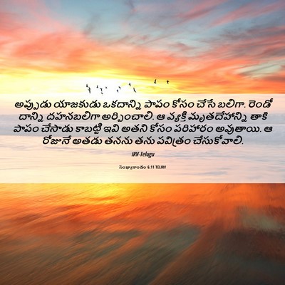 Picture 06 - సంఖ్యాకాండం 6:11 TELIRV - అప్పుడు యాజకుడు - Bible Verse Picture