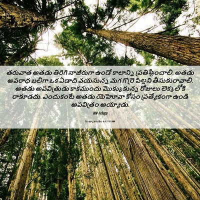 Picture 06 - సంఖ్యాకాండం 6:12 TELIRV - తరువాత అతడు - Bible Verse Picture