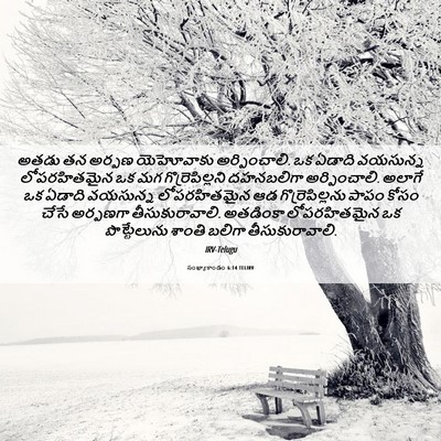 Picture 06 - సంఖ్యాకాండం 6:14 TELIRV - అతడు తన అర్పణ - Bible Verse Picture