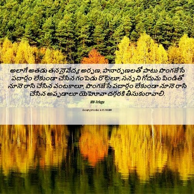 Picture 06 - సంఖ్యాకాండం 6:15 TELIRV - అలాగే అతడు తన - Bible Verse Picture