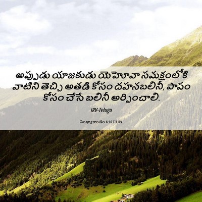 Picture 06 - సంఖ్యాకాండం 6:16 TELIRV - అప్పుడు యాజకుడు - Bible Verse Picture