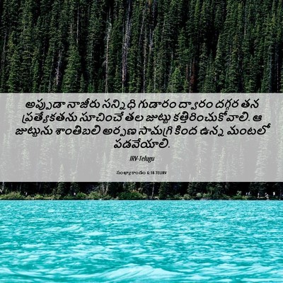Picture 06 - సంఖ్యాకాండం 6:18 TELIRV - అప్పుడా నాజీరు - Bible Verse Picture