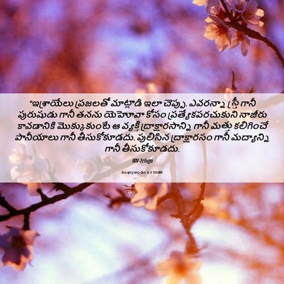 Picture 06 - సంఖ్యాకాండం 6:2 TELIRV - “ఇశ్రాయేలు - Bible Verse Picture