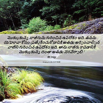 Picture 06 - సంఖ్యాకాండం 6:21 TELIRV - మొక్కుకున్న - Bible Verse Picture