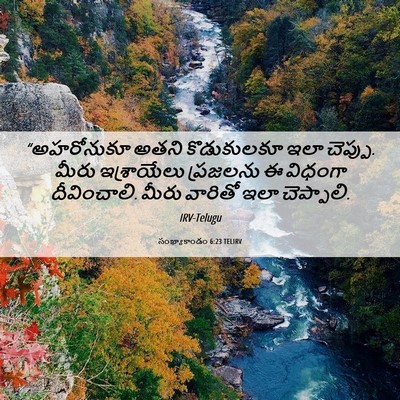 Picture 06 - సంఖ్యాకాండం 6:23 TELIRV - “అహరోనుకూ అతని - Bible Verse Picture