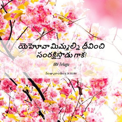 Picture 06 - సంఖ్యాకాండం 6:24 TELIRV - యెహోవా మిమ్మల్ని - Bible Verse Picture