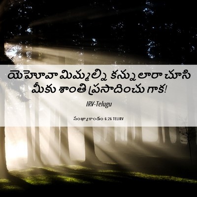 Picture 06 - సంఖ్యాకాండం 6:26 TELIRV - యెహోవా మిమ్మల్ని - Bible Verse Picture