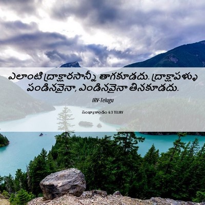 Picture 06 - సంఖ్యాకాండం 6:3 TELIRV - ఎలాంటి - Bible Verse Picture