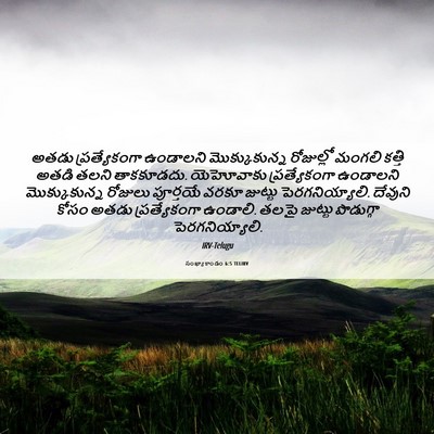 Picture 06 - సంఖ్యాకాండం 6:5 TELIRV - అతడు ప్రత్యేకంగా - Bible Verse Picture