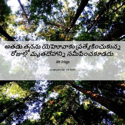 Picture 06 - సంఖ్యాకాండం 6:6 TELIRV - అతడు తనను - Bible Verse Picture