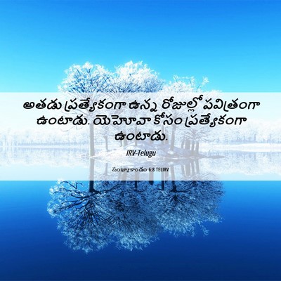 Picture 06 - సంఖ్యాకాండం 6:8 TELIRV - అతడు ప్రత్యేకంగా - Bible Verse Picture