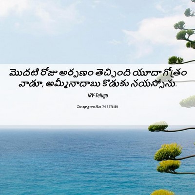 Picture 06 - సంఖ్యాకాండం 7:12 TELIRV - మొదటి రోజు అర్పణం - Bible Verse Picture