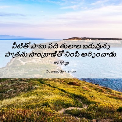 Picture 06 - సంఖ్యాకాండం 7:14 TELIRV - వీటితో పాటు పది - Bible Verse Picture