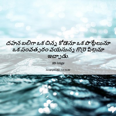 Picture 06 - సంఖ్యాకాండం 7:21 TELIRV - దహన బలిగా ఒక చిన్న - Bible Verse Picture