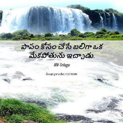 Picture 06 - సంఖ్యాకాండం 7:22 TELIRV - పాపం కోసం చేసే - Bible Verse Picture