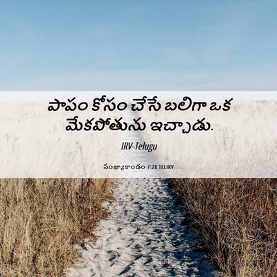 Picture 06 - సంఖ్యాకాండం 7:28 TELIRV - పాపం కోసం చేసే - Bible Verse Picture