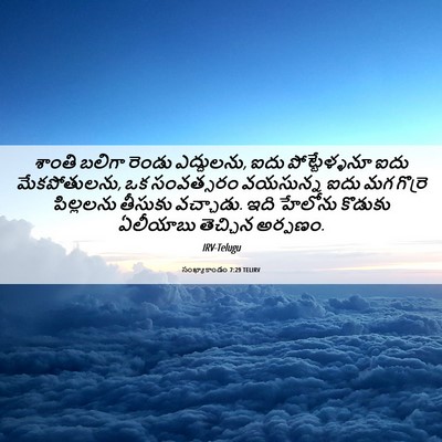 Picture 06 - సంఖ్యాకాండం 7:29 TELIRV - శాంతి బలిగా రెండు - Bible Verse Picture