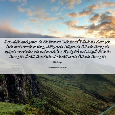 Picture 06 - సంఖ్యాకాండం 7:3 TELIRV - వీరు తమ అర్పణలను - Bible Verse Picture