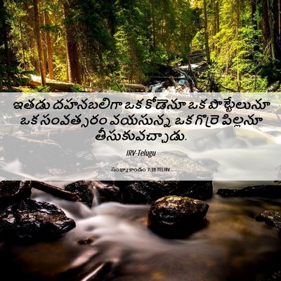 Picture 06 - సంఖ్యాకాండం 7:39 TELIRV - ఇతడు దహనబలిగా ఒక - Bible Verse Picture