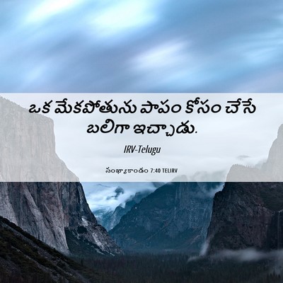 Picture 06 - సంఖ్యాకాండం 7:40 TELIRV - ఒక మేకపోతును పాపం - Bible Verse Picture