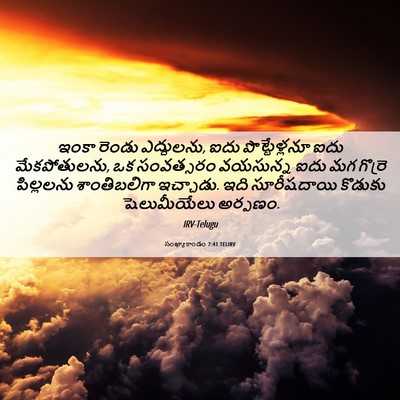 Picture 06 - సంఖ్యాకాండం 7:41 TELIRV - ఇంకా రెండు - Bible Verse Picture