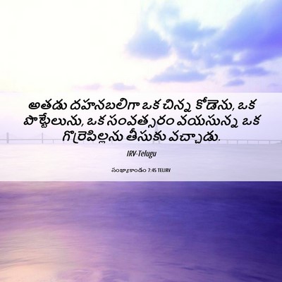 Picture 06 - సంఖ్యాకాండం 7:45 TELIRV - అతడు దహనబలిగా ఒక - Bible Verse Picture