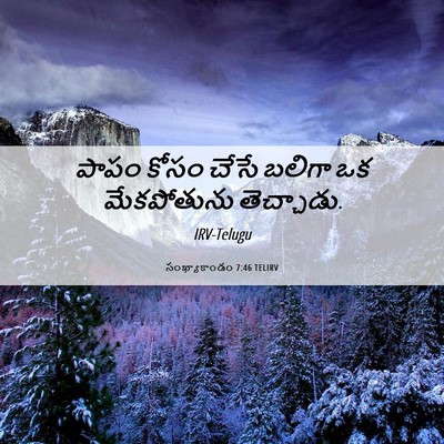 Picture 06 - సంఖ్యాకాండం 7:46 TELIRV - పాపం కోసం చేసే - Bible Verse Picture