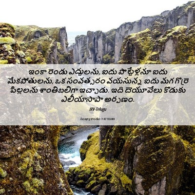 Picture 06 - సంఖ్యాకాండం 7:47 TELIRV - ఇంకా రెండు - Bible Verse Picture