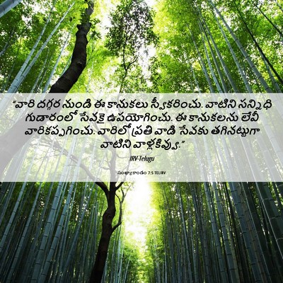 Picture 06 - సంఖ్యాకాండం 7:5 TELIRV - “వారి దగ్గర నుండి - Bible Verse Picture
