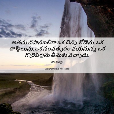 Picture 06 - సంఖ్యాకాండం 7:51 TELIRV - అతడు దహనబలిగా ఒక - Bible Verse Picture