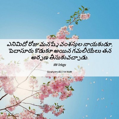 Picture 06 - సంఖ్యాకాండం 7:54 TELIRV - ఎనిమిదో రోజు - Bible Verse Picture