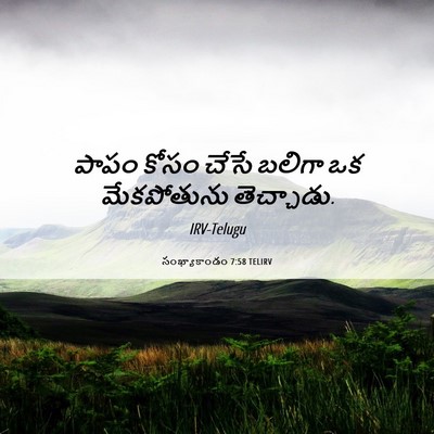 Picture 06 - సంఖ్యాకాండం 7:58 TELIRV - పాపం కోసం చేసే - Bible Verse Picture