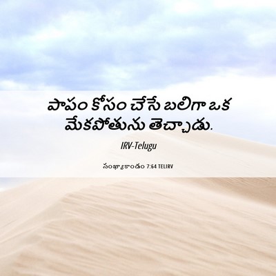 Picture 06 - సంఖ్యాకాండం 7:64 TELIRV - పాపం కోసం చేసే - Bible Verse Picture