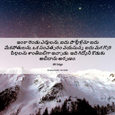 Picture 06 - సంఖ్యాకాండం 7:65 TELIRV - ఇంకా రెండు - Bible Verse Picture