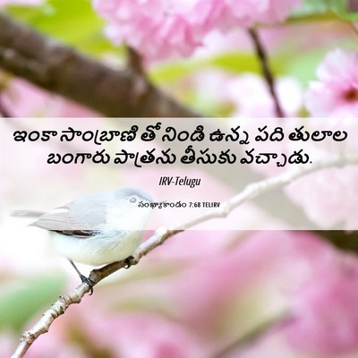 Picture 06 - సంఖ్యాకాండం 7:68 TELIRV - ఇంకా సాంబ్రాణి తో - Bible Verse Picture