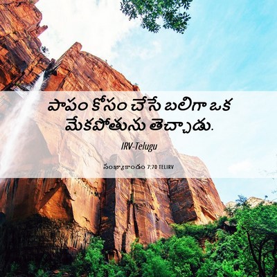 Picture 06 - సంఖ్యాకాండం 7:70 TELIRV - పాపం కోసం చేసే - Bible Verse Picture