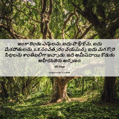 Picture 06 - సంఖ్యాకాండం 7:71 TELIRV - ఇంకా రెండు - Bible Verse Picture