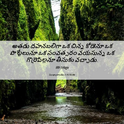 Picture 06 - సంఖ్యాకాండం 7:75 TELIRV - అతడు దహనబలిగా ఒక - Bible Verse Picture