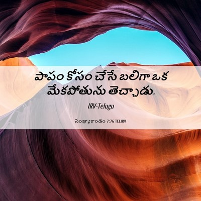 Picture 06 - సంఖ్యాకాండం 7:76 TELIRV - పాపం కోసం చేసే - Bible Verse Picture