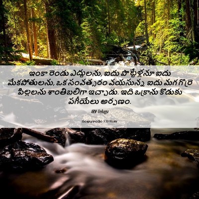 Picture 06 - సంఖ్యాకాండం 7:77 TELIRV - ఇంకా రెండు - Bible Verse Picture