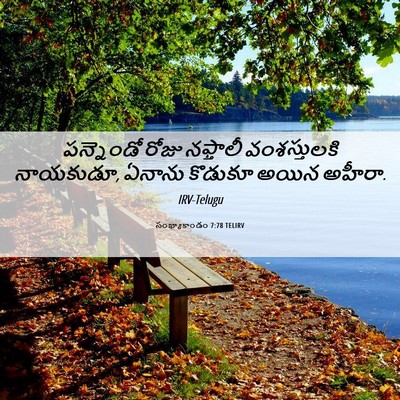 Picture 06 - సంఖ్యాకాండం 7:78 TELIRV - పన్నెండో రోజు - Bible Verse Picture